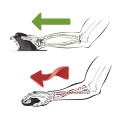 Ergonomiczna mysz pionowa Fellowes Penguin - bezprzewodowa - duża www.asan.com.pl