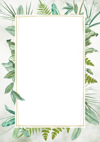 Dyplom BOTANIC - opk 25 szt A4 - 170g/m2  www.asan.com.pl