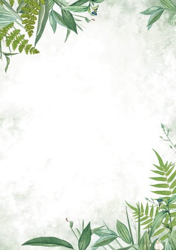 Arkusze barwne FLORA - 50 arkuszy A4 100g/m2 www.asan.com.pl