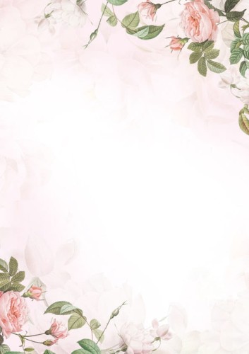 Arkusze barwne GARDEN - 50 arkuszy A4 100g/m2  www.asan.com.pl