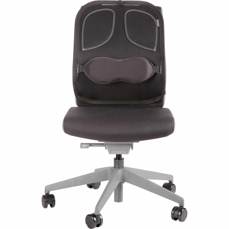Fellowes Ergonomiczna siatkowa Podpórka pod plecy profesjonalna 8029901 www.asan.com.pl