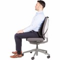 Fellowes Ergonomiczna siatkowa Podpórka pod plecy profesjonalna 8029901 www.asan.com.pl