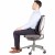 Fellowes Ergonomiczna siatkowa Podpórka pod plecy profesjonalna 8029901 www.asan.com.pl