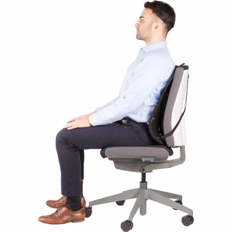Fellowes Ergonomiczna siatkowa Podpórka pod plecy profesjonalna 8029901 www.asan.com.pl