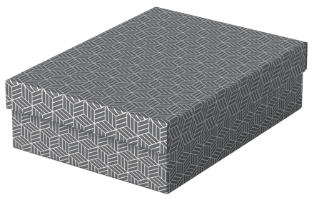 Pudło do przechowywania / pudło prexentowe Esselte Box Home M low szary /3szt www.asan.com.pl