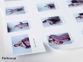 15076533.jpg