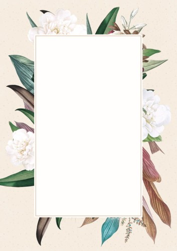 Dyplom CAMELLIA - opk 25 szt A4 - 170g/m2 www.asan.com.pl