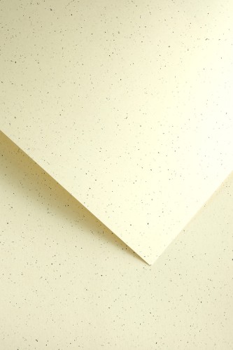 Karton Ozdobny 220g/m2 PEPPER KREMOWY 20 arkuszy A4 www.asan.com.pl