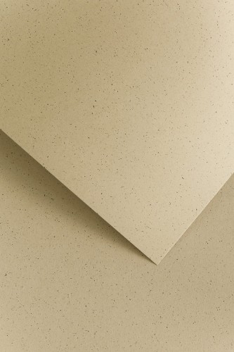 Karton Ozdobny 220g/m2 PEPPER BRĄZOWY 20 arkuszy A4 www.niszczarka.net