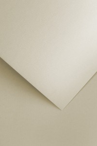 Karton ozdobny 250g/m2 FLORYDA BEŻOWY 20 arkuszy A4