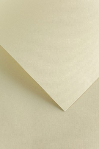 Karton Ozdobny 220g/m2 FLORYDA KREMOWY - 20 arkuszy A4 www.asan.com.pl