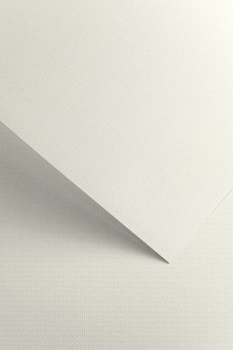 Karton ozdobny FLORYDA BIAŁY 20 arkuszy A4 220g/m2  WWW.ASAN.COM.PL