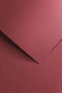 Karton ozdobny 250g/m2 FLORYDA BORDOWY NEW 20 arkuszy A4