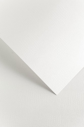 Karton Ozdobny 220g/m2 BORNEO BIAŁY - 20 arkuszy A4 www.asan.com.pl