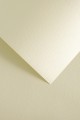 Karton_A4_ST_Skora_kremowy_202202_5903069004093.jpg