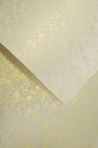 Karton Ozdobny Premium 250g/m2 LIŚCIE KREMOWY 20 arkuszy A4 www.asan.com.pl