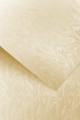 Karton Ozdobny Premium 220g/m2 PAPIRUS KREMOWY 20 arkuszy A4 www.asan.com.pl