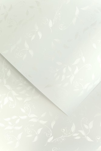Papier ozdobny LIANA BIAŁY 100g/m2 - opk 50ark/A4