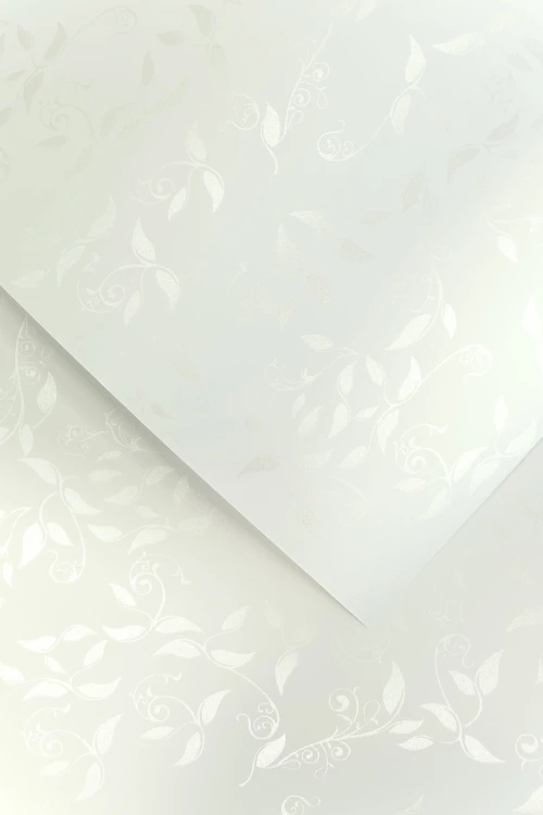 Papier ozdobny LIANA BIAŁY 100g/m2 - opk 50ark/A4