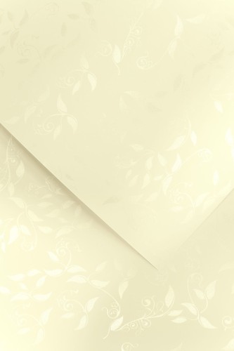 Papier ozdobny Liana krem 100g/m2 - opk 50ark/A4 www.asan.com.pl