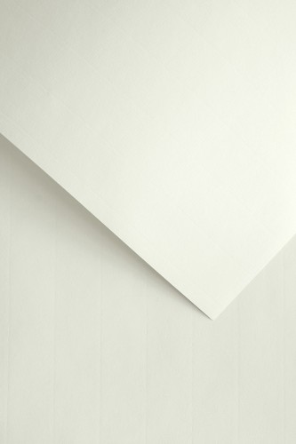 Papier ozdobny Laid biały 120g/m2 - opk 50ark/A4 www.asan.com.pl