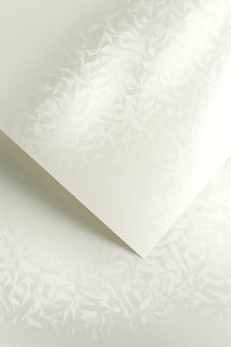 Karton Ozdobny Premium 220g/m2 OLYMPIA PERŁOWA BIEL 20 arkuszy A4 www.asan.com.pl