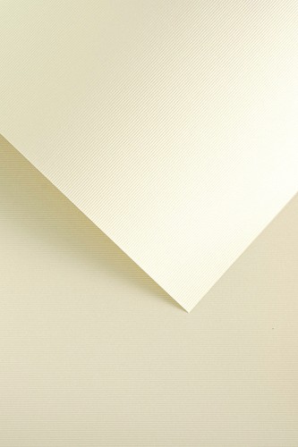 Karton ozdobny LINIE BIAŁY 230 g/m2 opakowanie 20 arkuszy A4 www.asan.com.pl