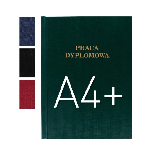 Praca Dyplomowa.jpg
