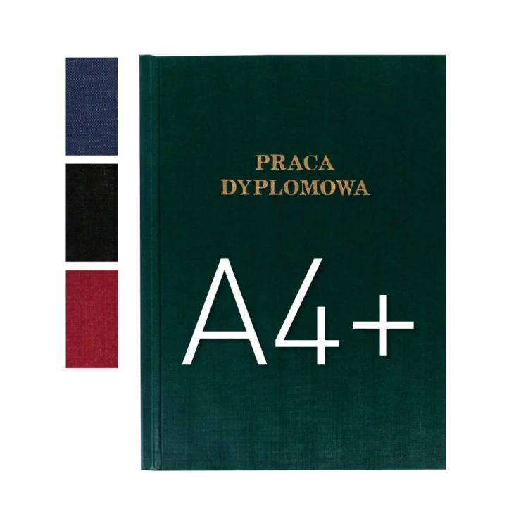Praca Dyplomowa.jpg