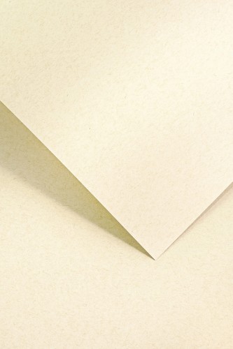 Papier ozdobny Nature Jasnobeżowy 120g/m2 - opk 50ark/A4 www.asan.com.pl