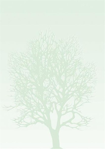 Arkusze barwne DRZEWO - 50 arkuszy A4 100g/m2 www.asan.com.pl