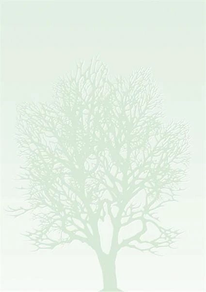 Arkusze barwne DRZEWO - 50 arkuszy A4 100g/m2 www.asan.com.pl