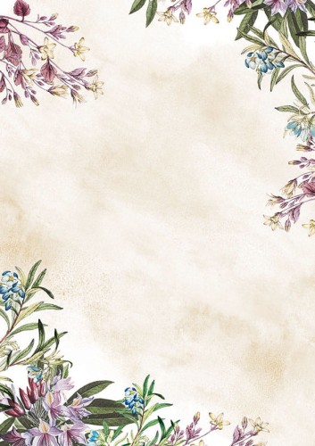 Arkusze barwne Umbria 50 arkuszy A4 100g/m2 www.asan.com.pl