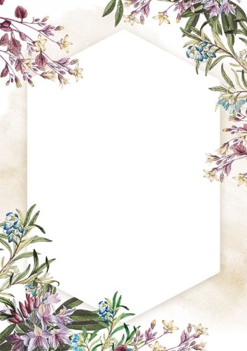 Dyplom UMBRIA - opk 25 szt A4 - 170g/m2 www.asan.com.pl