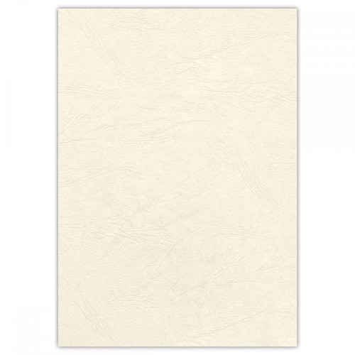 53700 Okładka skóropodobna DELTA A4 KOŚĆ SŁONIOWA - Fellowes www.asan.com.pl