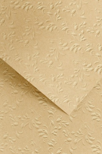 Karton Nature ciemnobeżowy z tłoczeniem 220g / m2 opakowanie 20 arkuszy A4  www.asan.com.pl