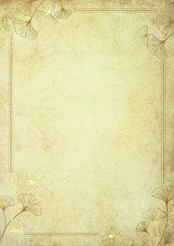 Dyplom GINKO - opk 20 szt A4 - 190g/m2 www.asan.com.pl