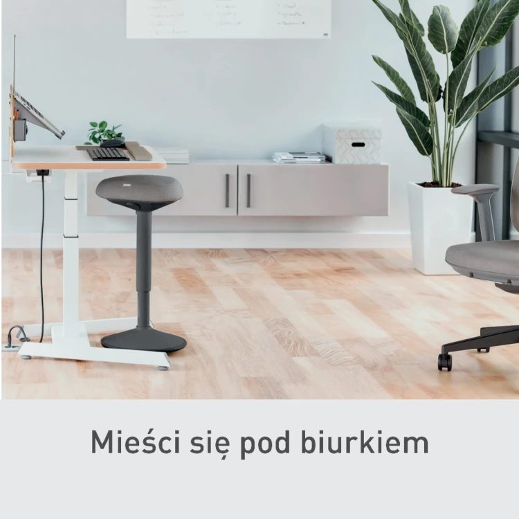 Stołek Leitz Ergo do aktywnego siedzenia w pozycji półstojącej z wygodnym siedziskiem - ciemny szary www.asan.com.pl