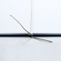 808403_www.asan.com.pl