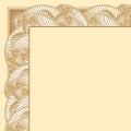 800803_www.asan.com.pl