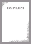 Dyplom - O.Papiernia SILVER - 190 g/m² - 25 sztuk OPUS