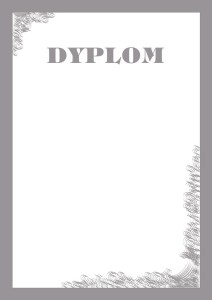 Dyplom - O.Papiernia SILVER - 190 g/m² - 25 sztuk OPUS