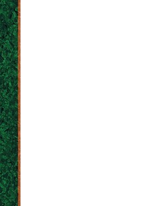 Dyplom - O.Papiernia STANDARD 1 - 110 g/m² - 25 sztuk OPUS