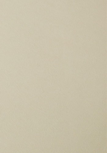 809776_www.asan.com.pl