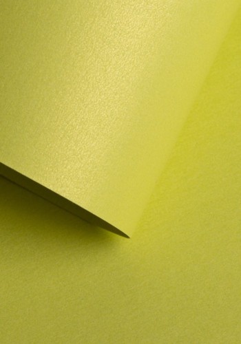 809301_www.asan.com.pl