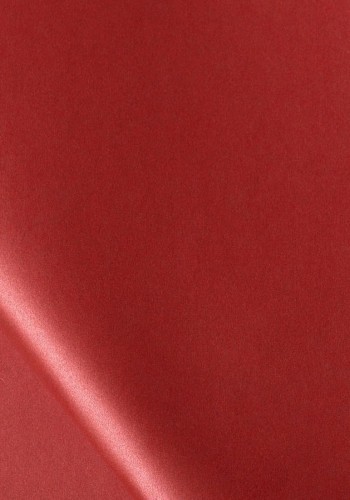 808922_www.asan.com.pl