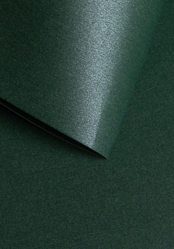 808915_www.asan.com.pl