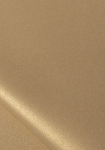 800926_www.asan.com.pl