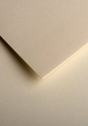 800537_www.asan.com.pl
