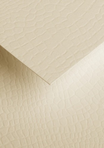 800902_www.asan.com.pl